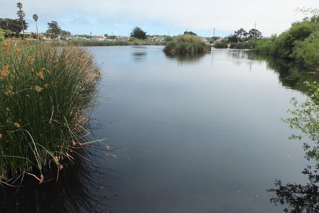 Photo of Outdoor in Oceano