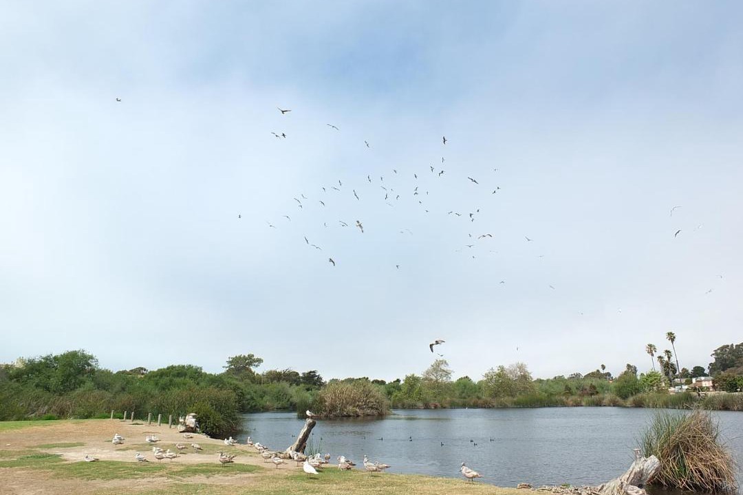 Photo of Outdoor in Oceano