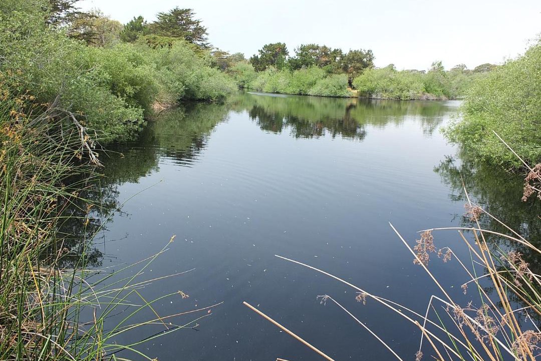 Photo of Outdoor in Oceano