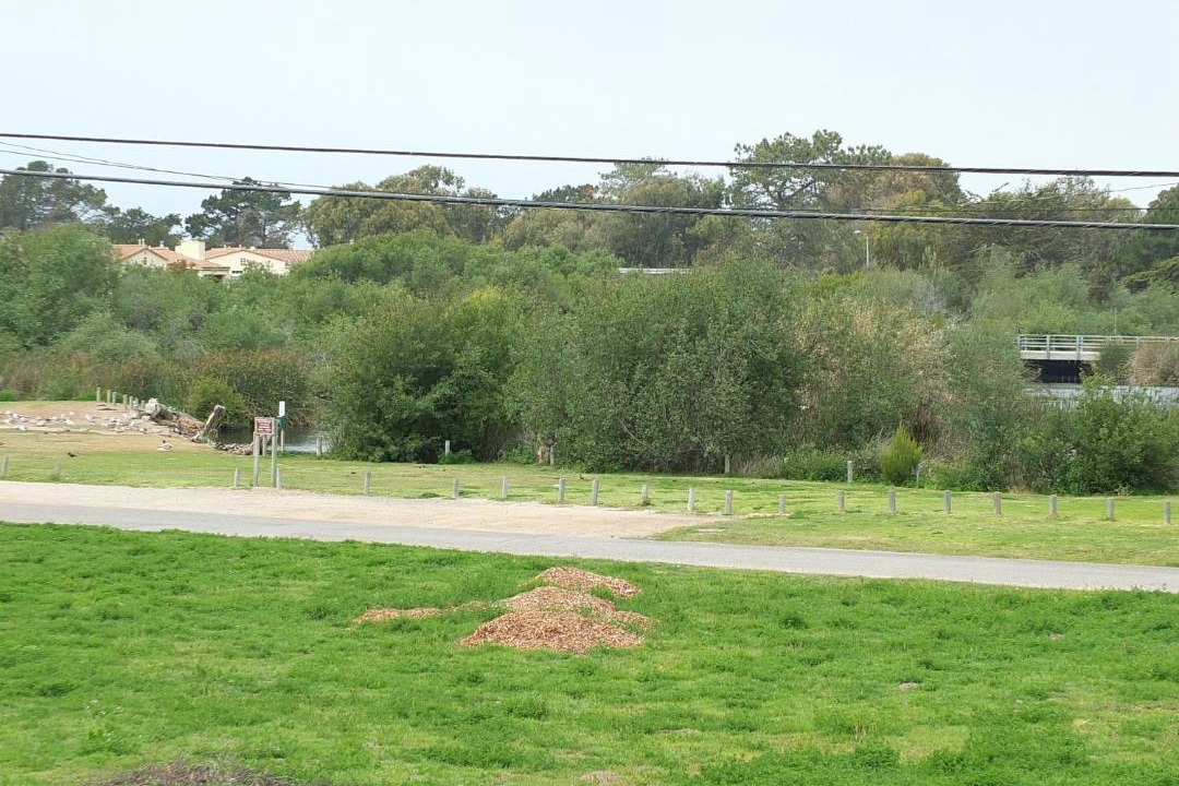 Photo of Outdoor in Oceano