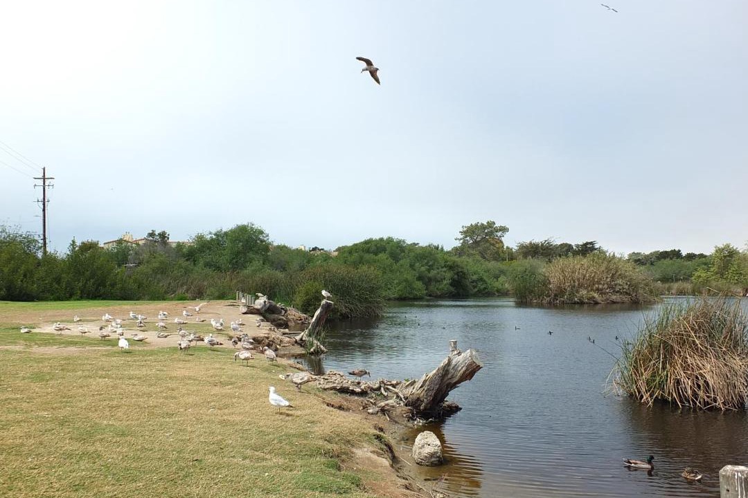Photo of Outdoor in Oceano