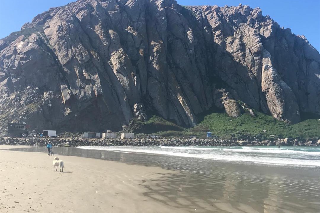 Photo of Others in Morro Bay