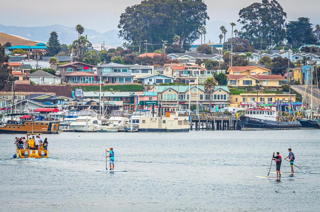 Photo of Others in Morro Bay