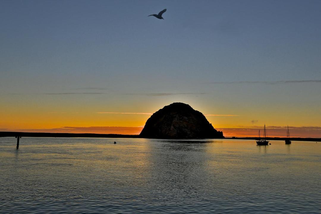 Photo of Others in Morro Bay