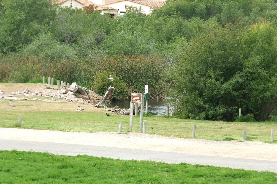 Photo of Others in Oceano