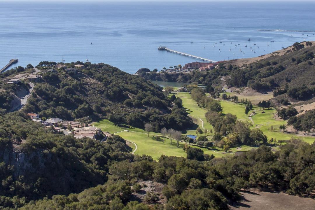 Photo of Others in Avila Beach