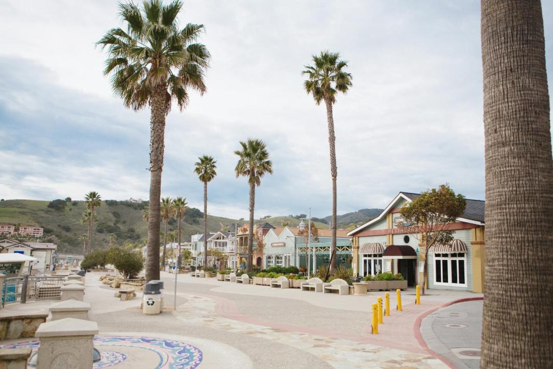 Photo of Others in Avila Beach