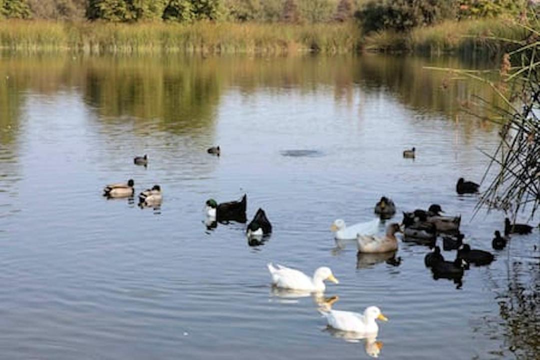 Photo of Others in Oceano