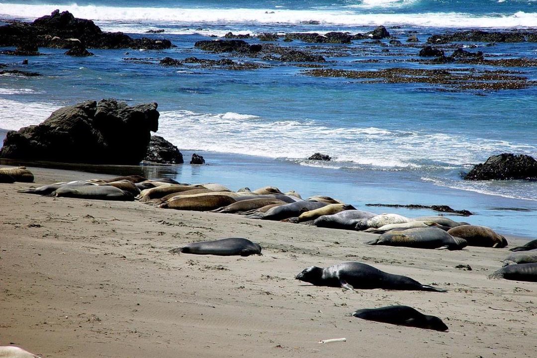 Photo of Others in Morro Bay