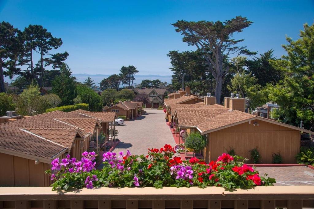 Photo of Others in Pacific Grove