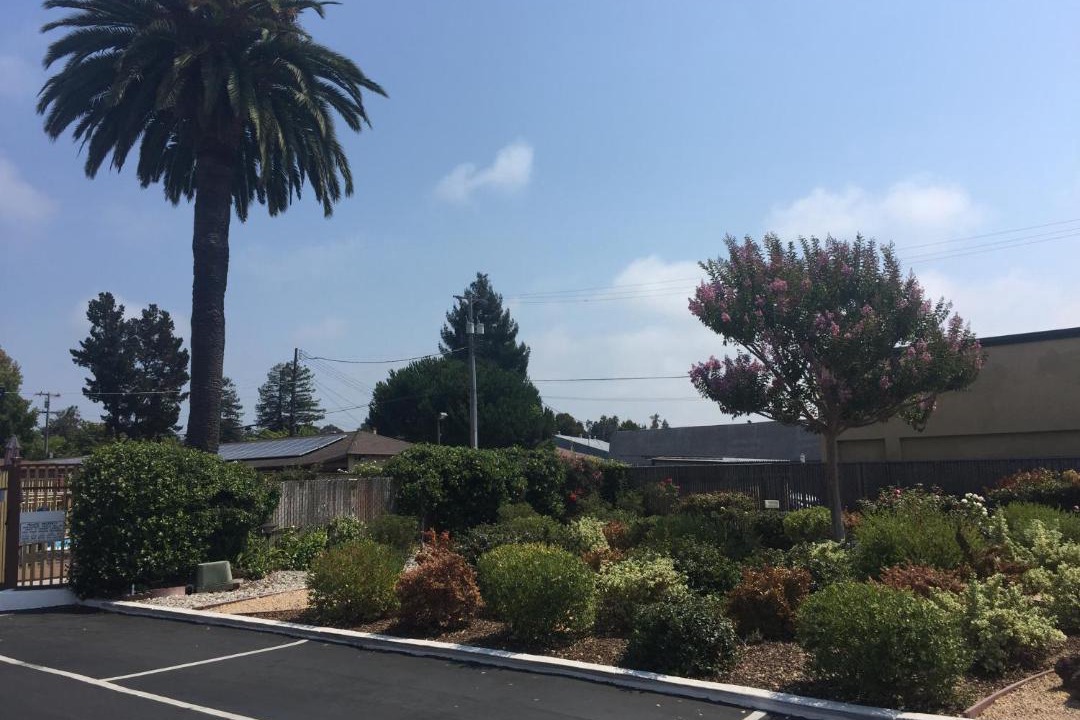 Photo of Others in Eastside Santa Cruz
