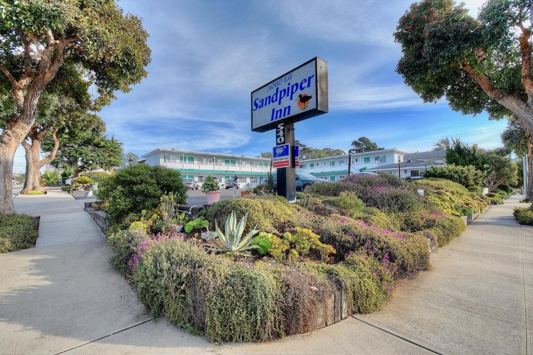 Photo of Others in Morro Bay