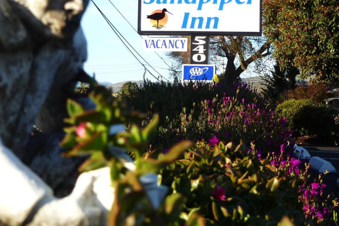 Photo of Others in Morro Bay