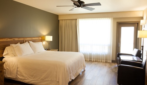 Premium Room, 1 King Bed, Patio