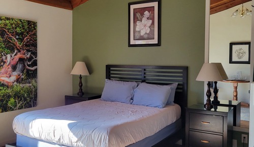Standard Room, Queen Bed, Gas Fireplace, Ocean View