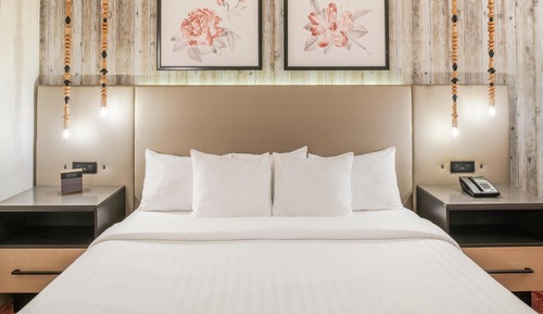 Room, 1 King Bed