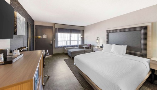 Standard Room, 1 King Bed, Non Smoking, Refrigerator & Microwave (Pet Friendly)
