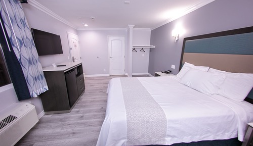 Room, 1 Queen Bed, Mobility Accessible, Non Smoking (Roll-In Shower)