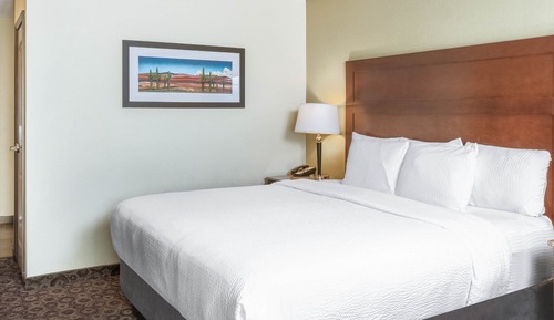 Room, 1 King Bed, Non Smoking