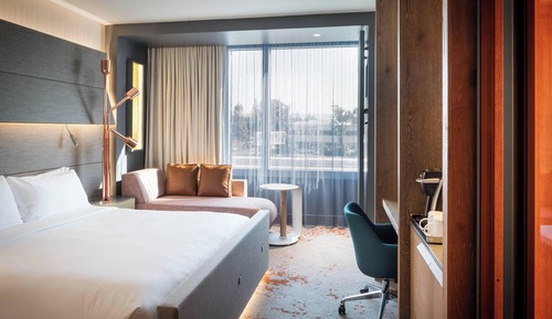 Room, 1 King Bed