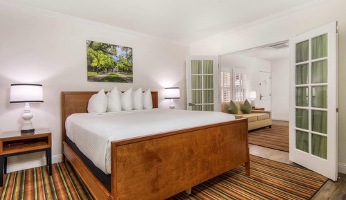 Suite, 1 King Bed with Sofa bed, Non Smoking (Efficiency, Cottage)