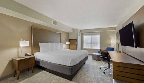 Standard Room, 1 King Bed, Non Smoking, Refrigerator & Microwave (Shower Only)
