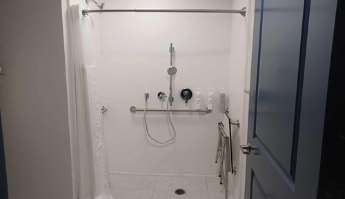 Room, 1 King Bed, Accessible (Mobility & Hearing, Roll-in Shower)