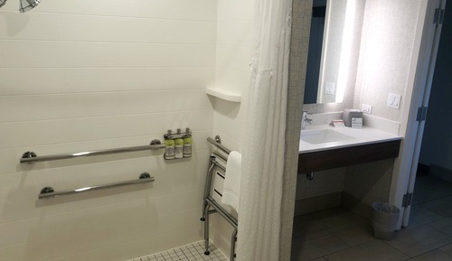 Room, 1 King Bed, Roll-in Shower, Non Smoking (Mobility Accessible)