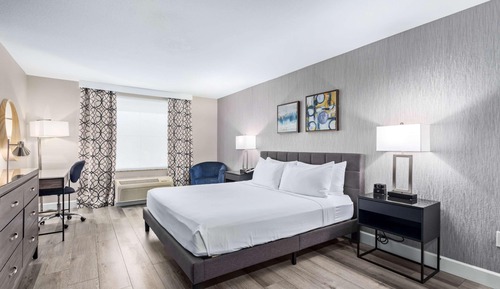 Standard Room, 1 King Bed, Refrigerator & Microwave (View)