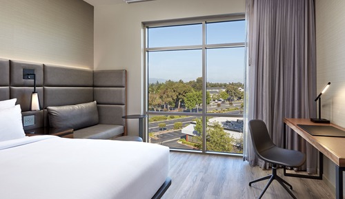 Room, 1 King Bed