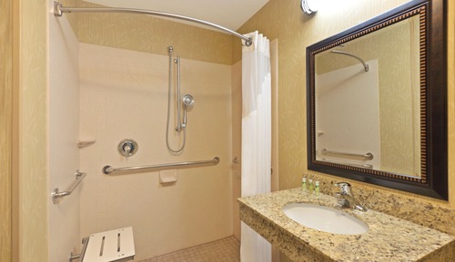 Standard Room, 1 King Bed, Accessible (Mobility, Roll-In Shower)