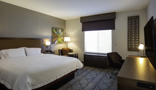 Room, 1 King Bed, Accessible, Non Smoking