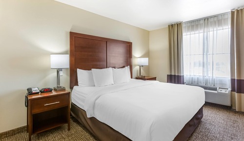 Suite, 1 King Bed with Sofa bed, Accessible, Non Smoking