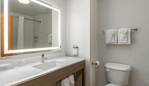 Standard Room, 1 King Bed, Accessible Bathtub (Mobility)