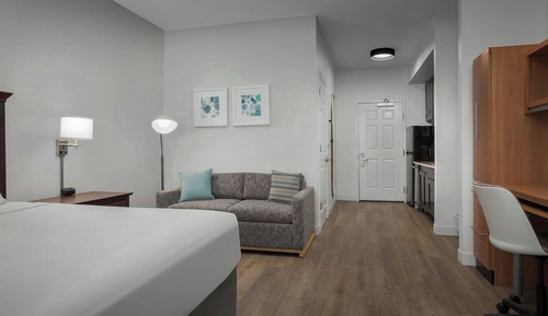 Studio, 1 King Bed with Sofa bed (Mobility/Hearing Access, Roll-In Shwr)