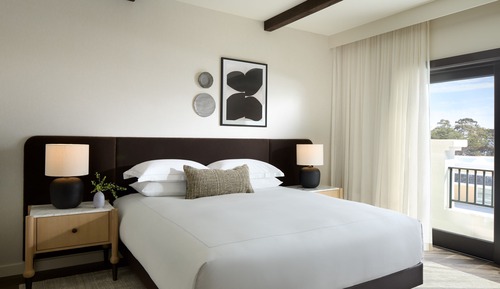 Premium Room, 1 King Bed, Roll-in Shower (Mobility Accessible)