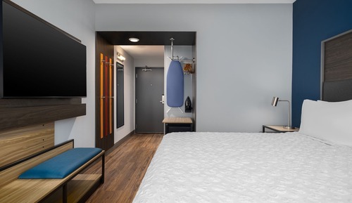 Room, 1 King Bed (Roll-In Shower)