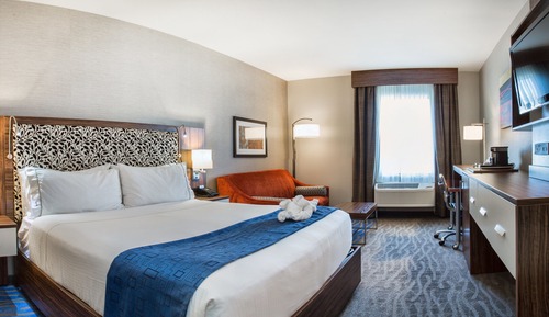 Standard Room, 1 King Bed, Jetted Tub