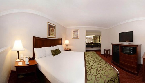 Standard Room, 1 King Bed, Accessible