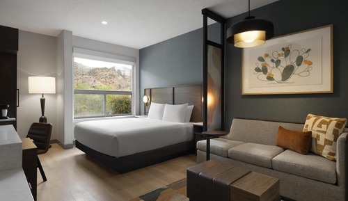 Room, 1 King Bed with Sofa bed