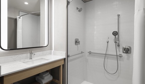Room, 1 King Bed, Roll-in Shower (Accesible)