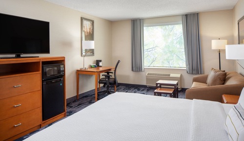 Room, 1 King Bed with Sofa bed