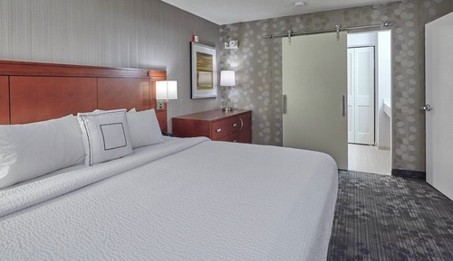 Room, 1 King Bed with Sofa bed