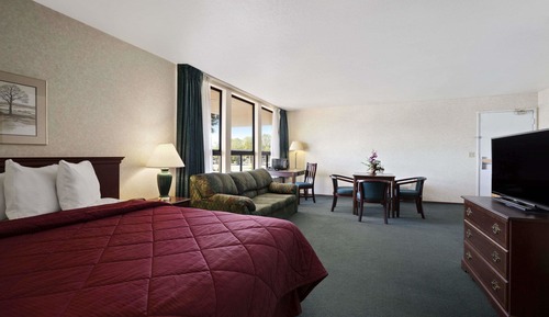 Studio Suite, 1 King Bed, Non Smoking