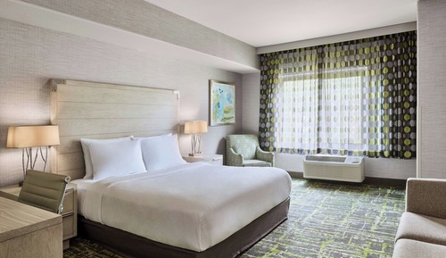 Suite, 1 King Bed with Sofa bed, Roll-in Shower