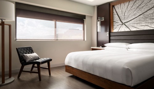 Room, 1 King Bed (Hearing Accessible)