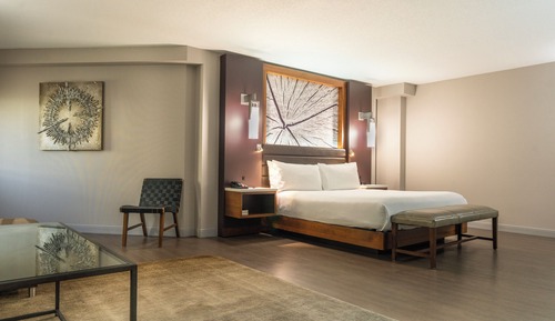 Executive Suite, 1 Bedroom