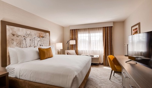 Standard Room, 1 King Bed, Accessible, Non Smoking (Walk-in Shower)