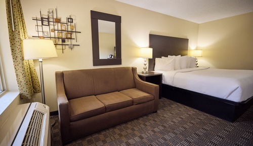 Room, 1 King Bed