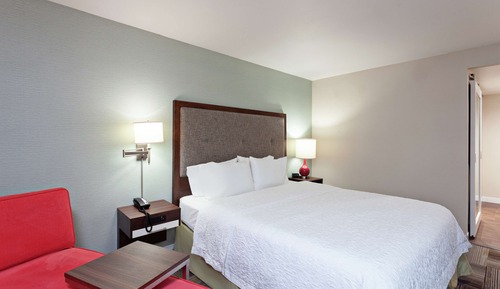 Room, 1 King Bed, Accessible (Hearing)